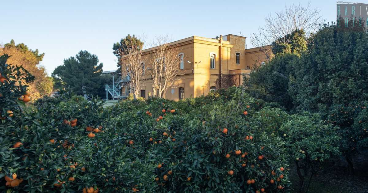 Bari, in via Ulpiani si staglia un edificio neoclassico circondato da un agrumeto: � la sede del "Crea"